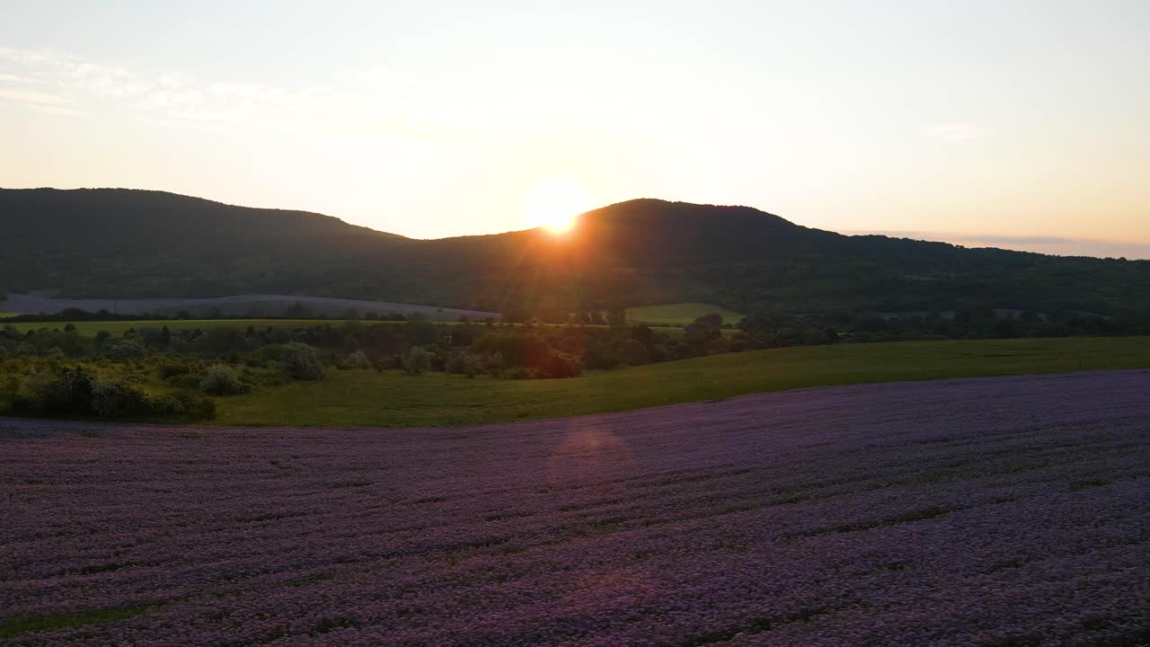 필리스 산맥 뒤로 떠오르는 태양