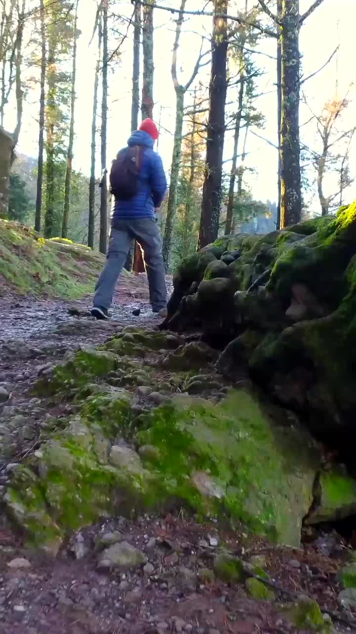 Person Hiking on a Muddy Trail Through a Sunlit Forest