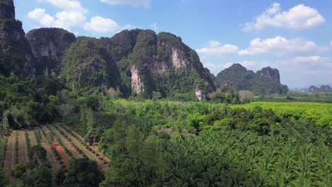 Lush-green-forest-is-covering-the-valley-floor-below-towering-limestone-mountains-in-krabi,-thailand