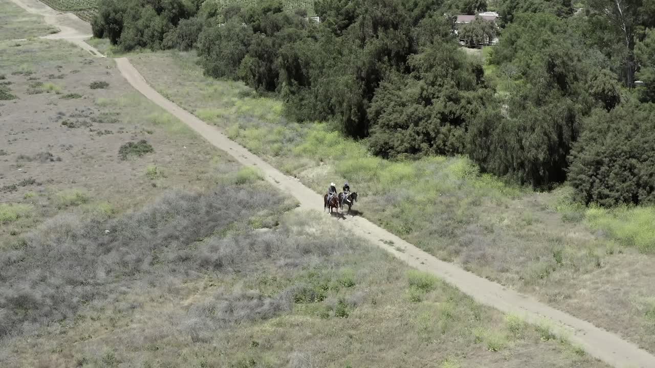 Couple Riding Horses in Green Californian American Landscape, Drone Aerial View