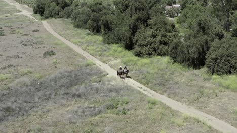 couple riding horses in green californian american landscape, drone aerial view