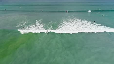 tourist surfing in the sea 4k