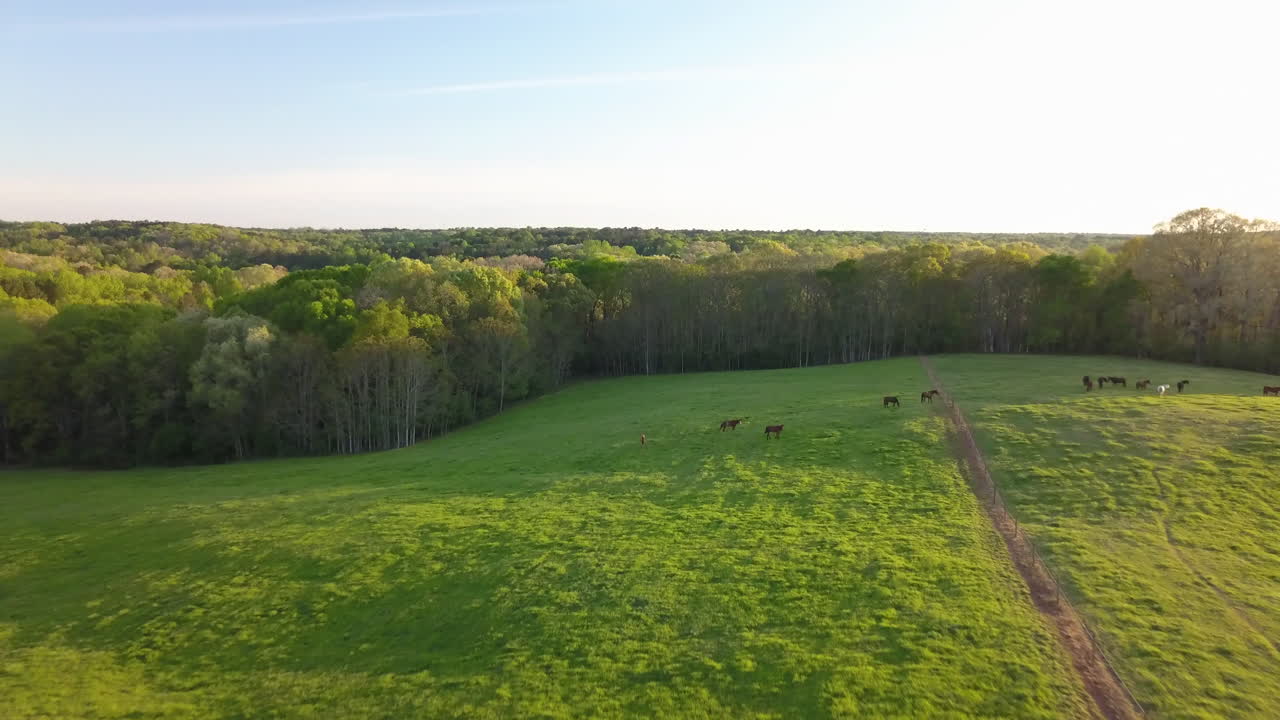 High speed aerial flight along the landscape and over a hill to reveal a heard of horses grazing in an idyllic green pasture