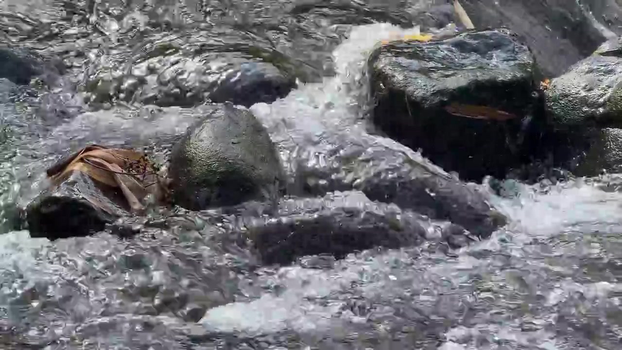 Clear Water Flowing Over Smooth River Rocks