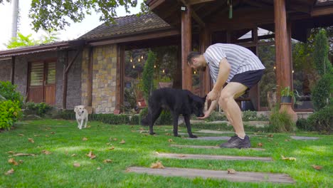 jugando con el perro en el jardín.