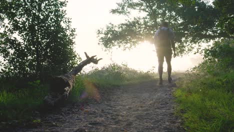 a person walks on a misty forest path during sunrise