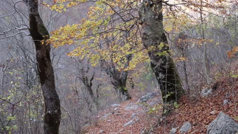 Senderismo-Alrededor-Del-Ojo-Azul,-Cascada-De-Grunas-Y-En-Los-Alpes-Albaneses-Durante-La-Temporada-De-Otoño-O-La-Temporada-De-Otoño