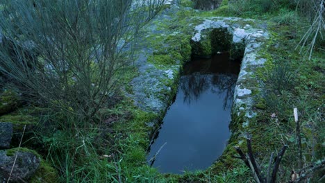 Wide-angle-view-of-mossy-anthropomorphic-burial-tombs-in-shallow-grave-of-limestone-in-Spain