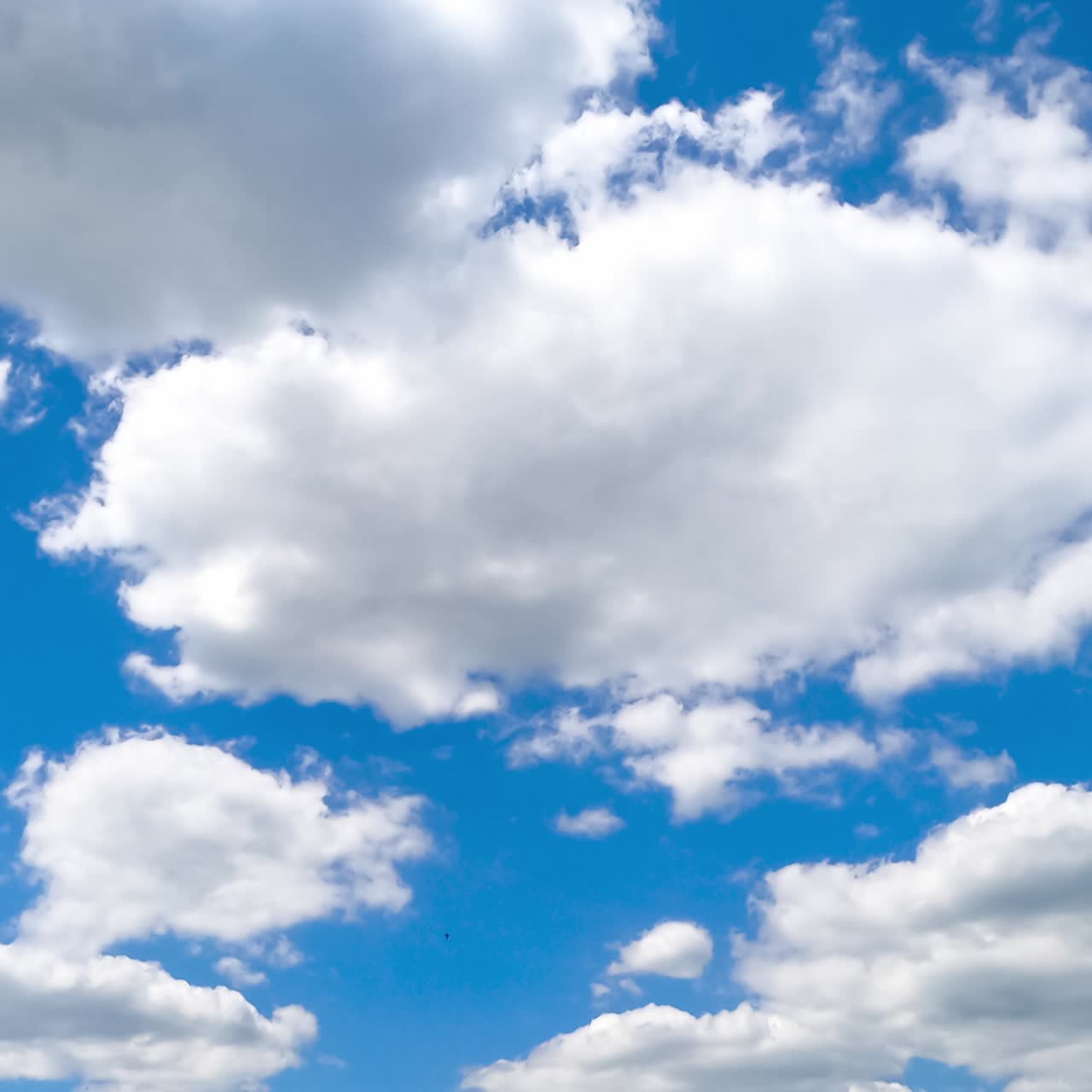 Building cotton clouds in the bright summer sky. Little clouds accumulating in a big cloudscape. Timelapse