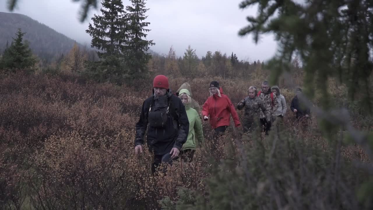 Group Hiking in Autumn Forest