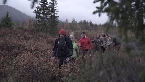 group hiking in autumn forest