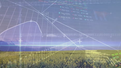 animation of stock market and data processing over field