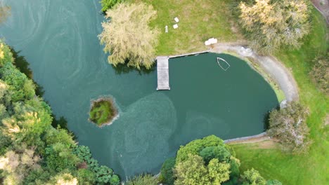 rising reveal of peaceful pond in gardens