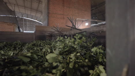 inside a yerba mate processing facility, organic herbal tea production