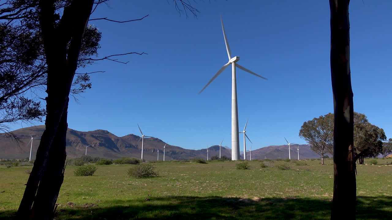 해안의 풍력 터빈 농장