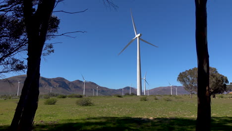 parque de aerogeneradores en la costa