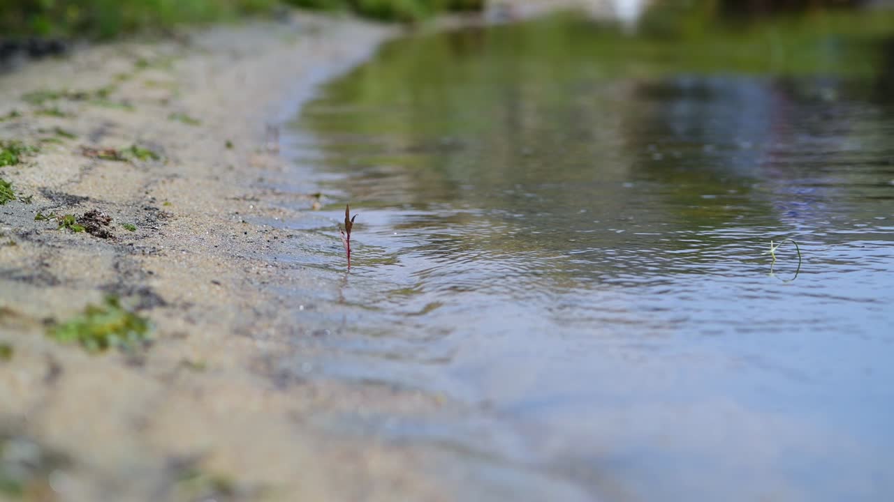 바이칼 호수 연안 근접 사진