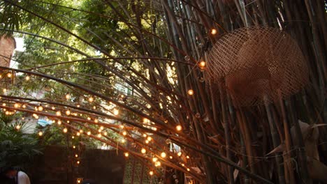 árboles de bambú decorados con bombillas de luz cálida en el jardín de la casa al aire libre