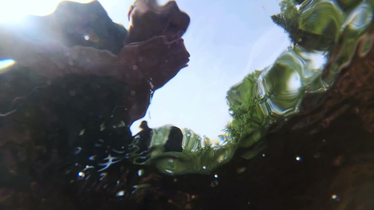 Person in a Body of Water