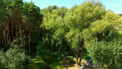 picnic area with two alcoves in the woods. drone going up above the green trees. agricultural fields with picked crop of wheat at backdrop. top view.