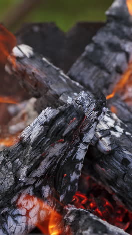 close up of bonfire. close up of outdoor fire burning