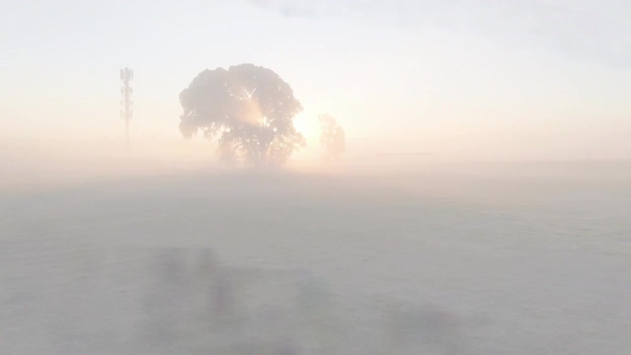スキャンラインのグリッチオーバーレイが消え、孤立した木がキノコ雲を噴出し、煙の霧が広がるVFX