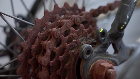 close-up of rusty bicycle chain and gears