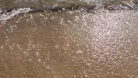 waves gently washing over sandy shore