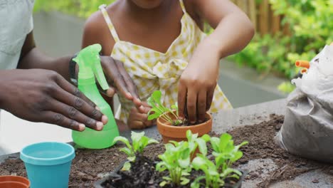 video de un padre y una hija afroamericanos plantando plantas