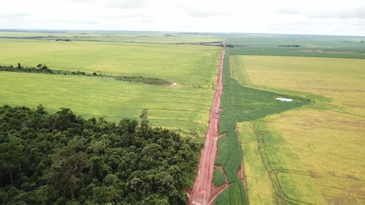 carretera de polvo dividió la selva amazónica nativa del campo de soja después de la deforestación