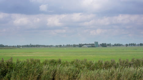 dairy farmland located below sea level, moving shot filmed from a boat