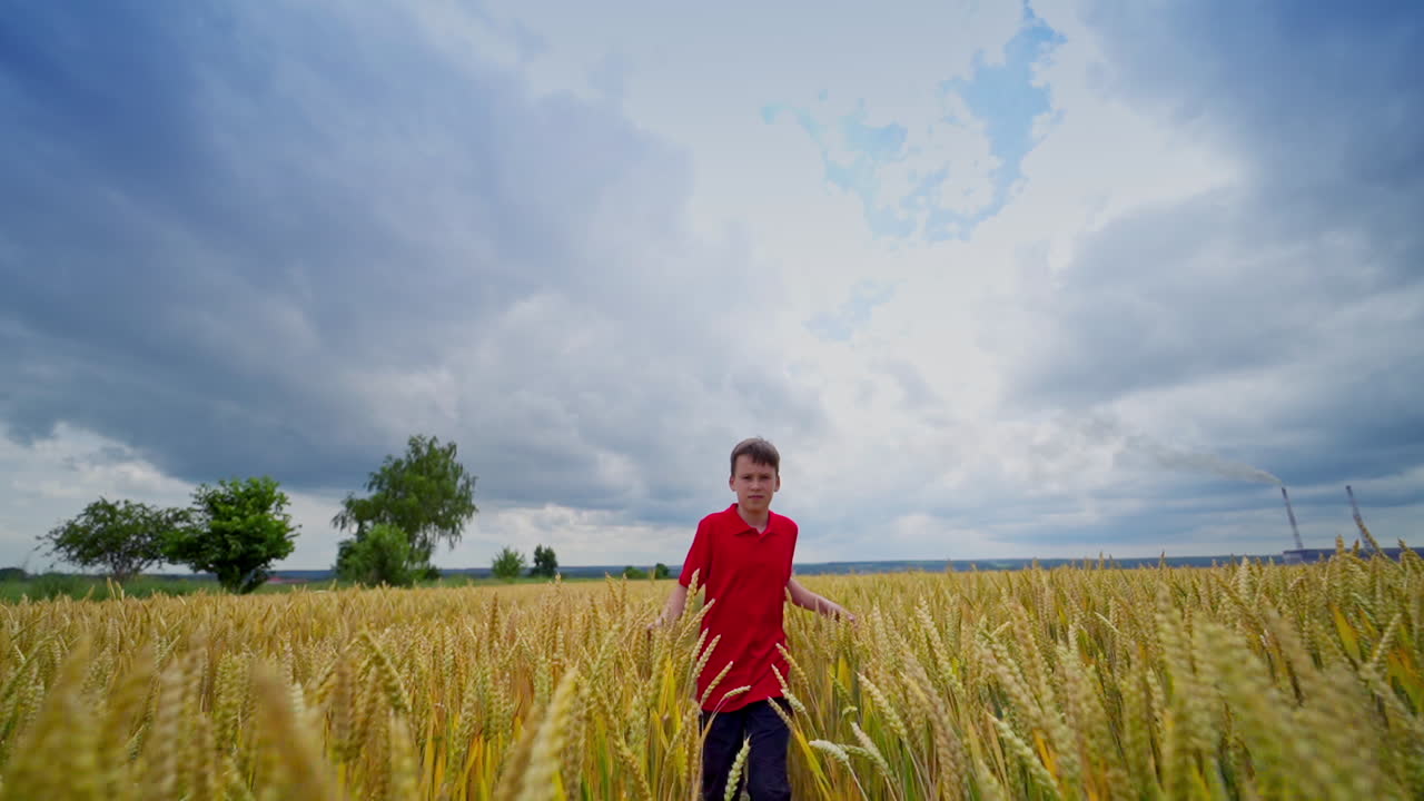 Teenager enjoys freedom outdoors. Happy boy walks and runs on yellow field among agricultural plants. Happy childhood in rural place.