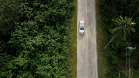 overhead shot of car moving on rural road surrounded with high rise trees