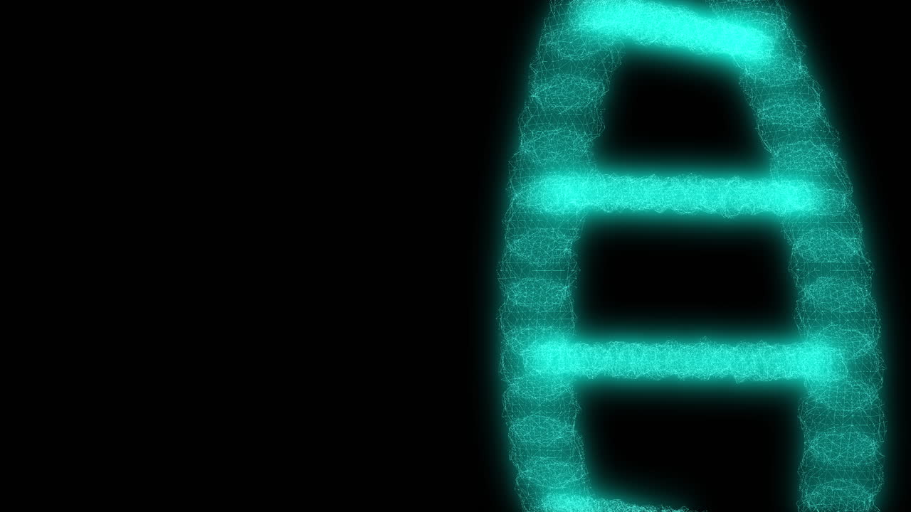 DNA structure