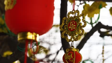 decoración de farolillos rojos en establecimiento en vietnam