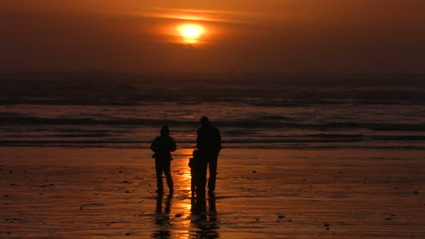 a family stands on the beach silhouetted against the setting sun