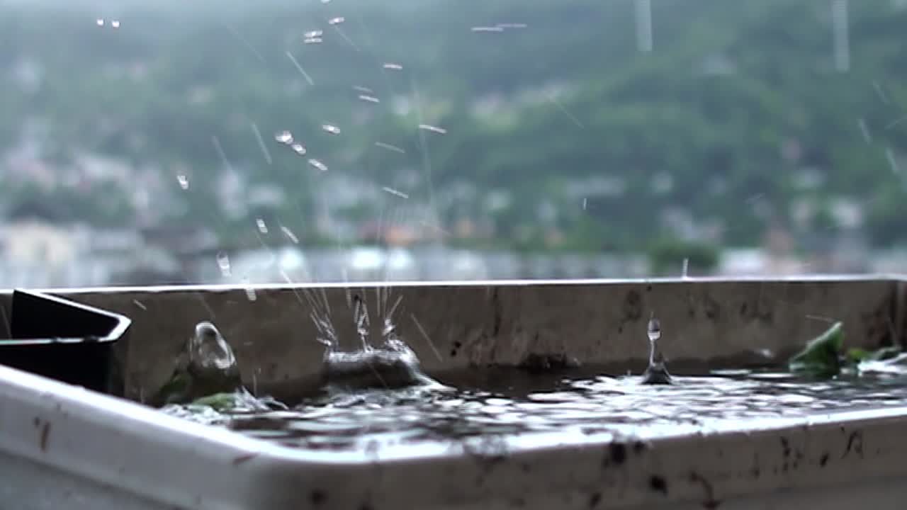 발코니에 숲과 흐릿한 배경의 집이 있는 비가 내리는 동안 물이 범람한 꽃 상자에 떨어지는 물방울의 느린 동작