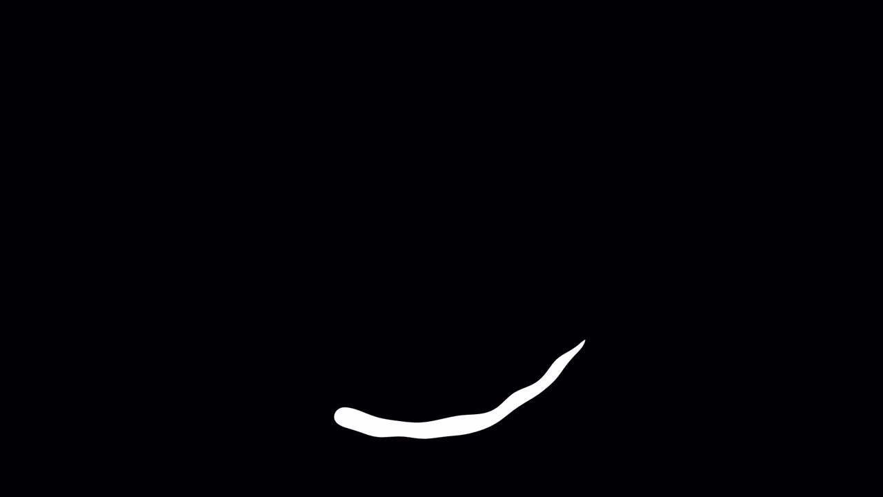 Lines 29