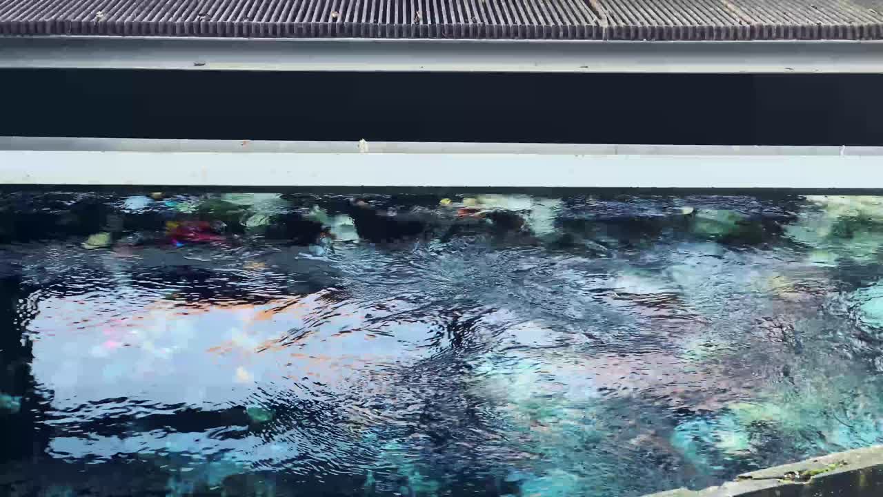 물 청소 장치의 물 아래 그물 바 뒤에 붙어있는 쓰레기