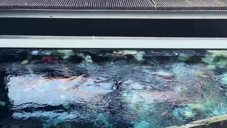 trash stuck behind the net bars under water in the water cleaning device