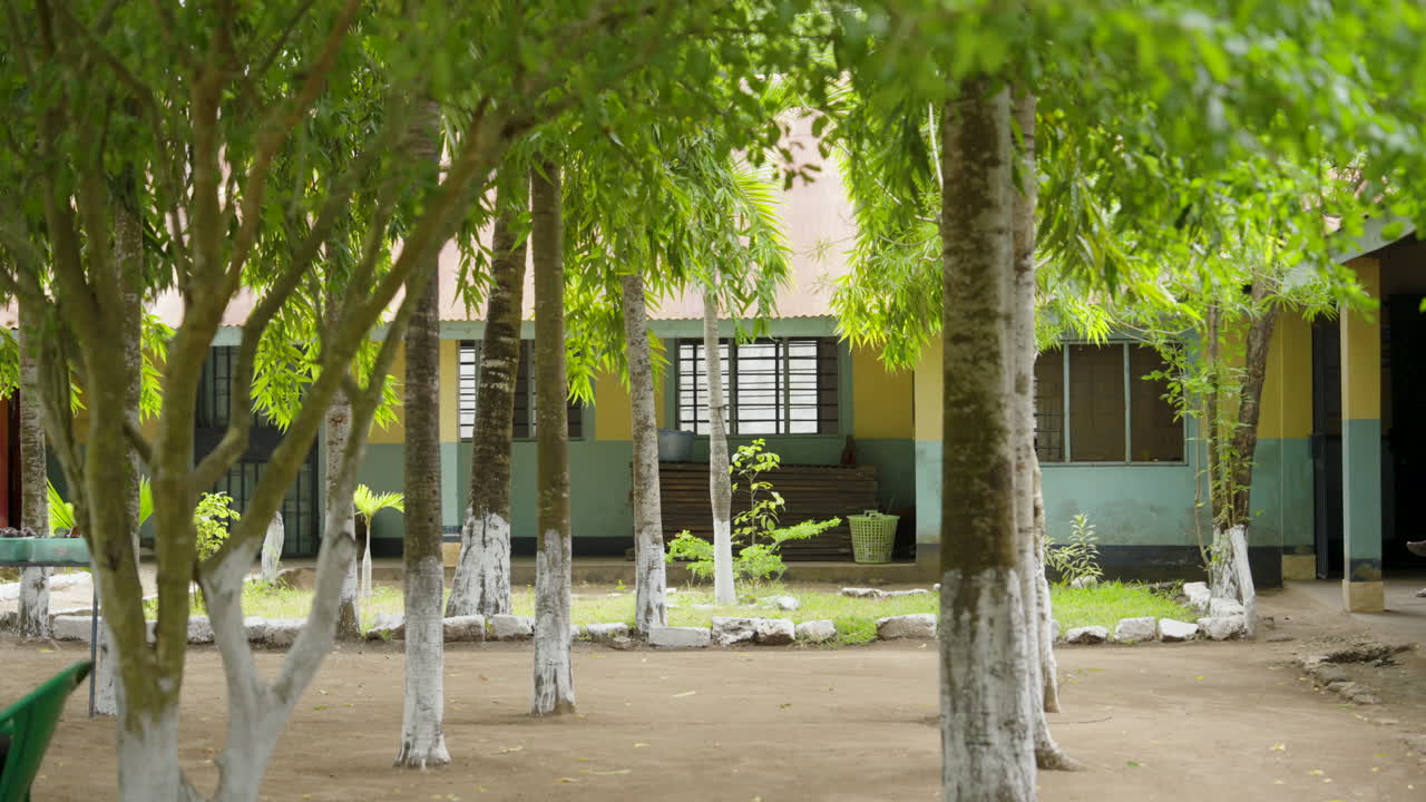 African Architecture, Tropical Properties, Traditional Swahili Buildings