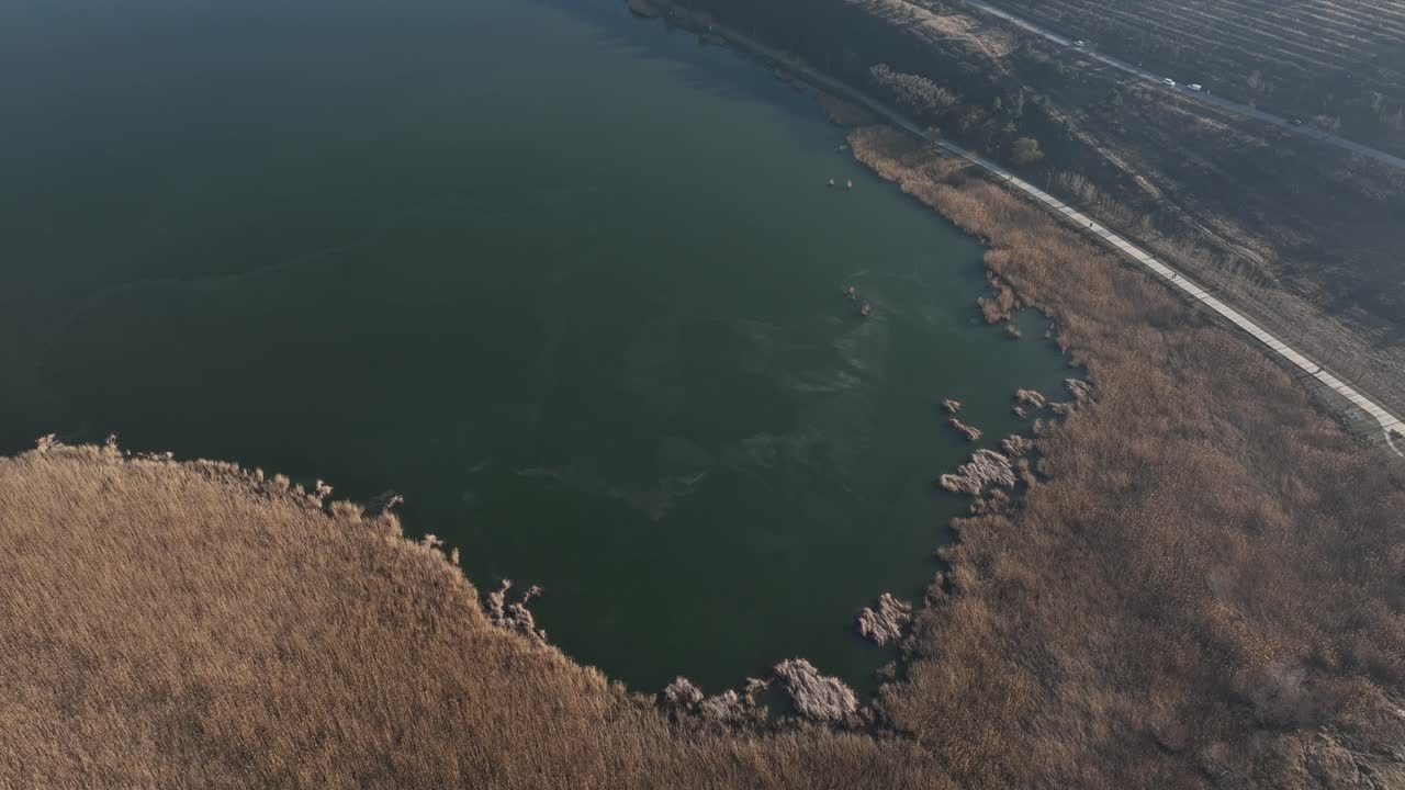 drone shot of A detailed aerial view of the lake’s shoreline, showing a contrast between the dark green water and the golden reeds