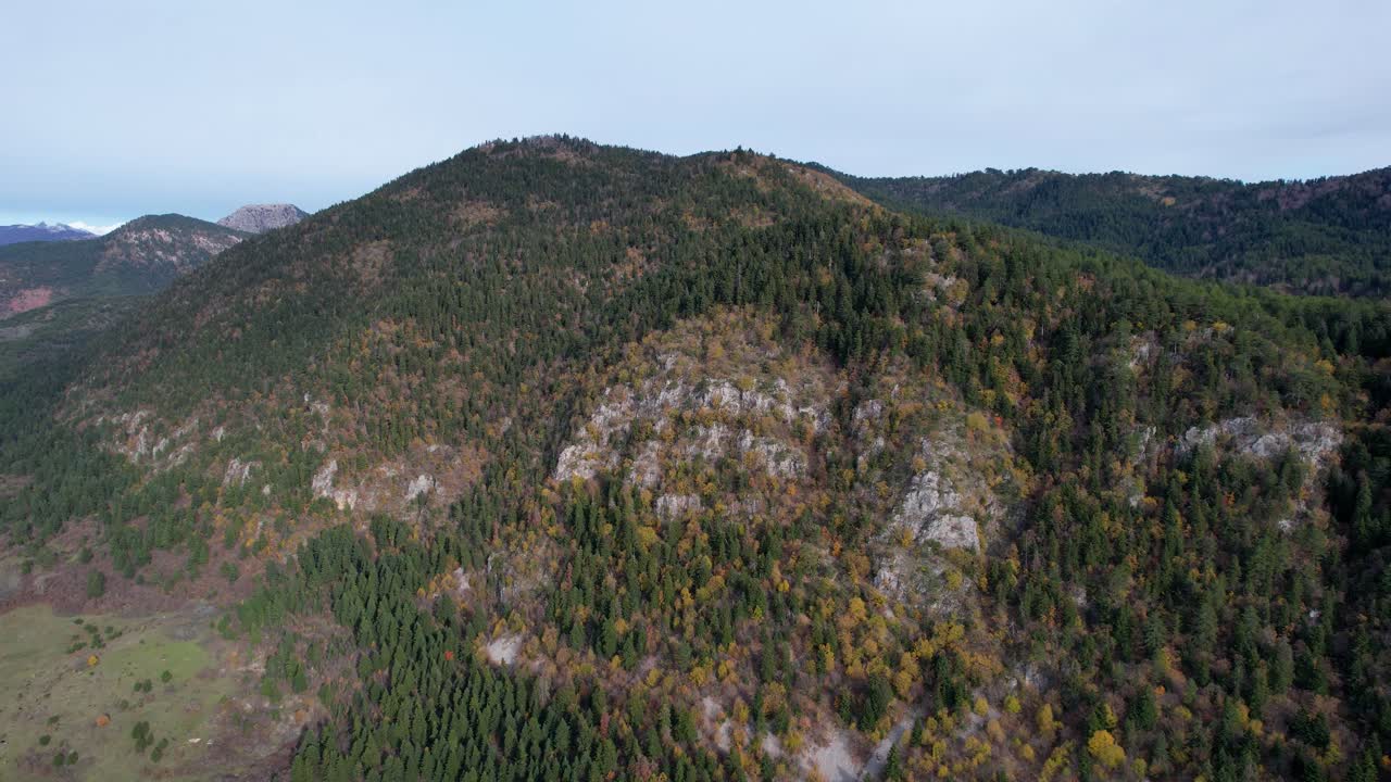 горный хребет, покрытый большими сосновыми деревьями лес на границе албании и греции, вид с воздуха