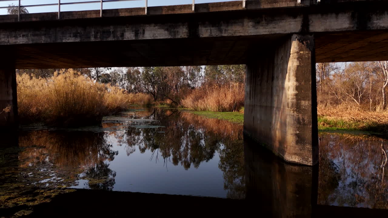 Serene River Reflection in a Wetland