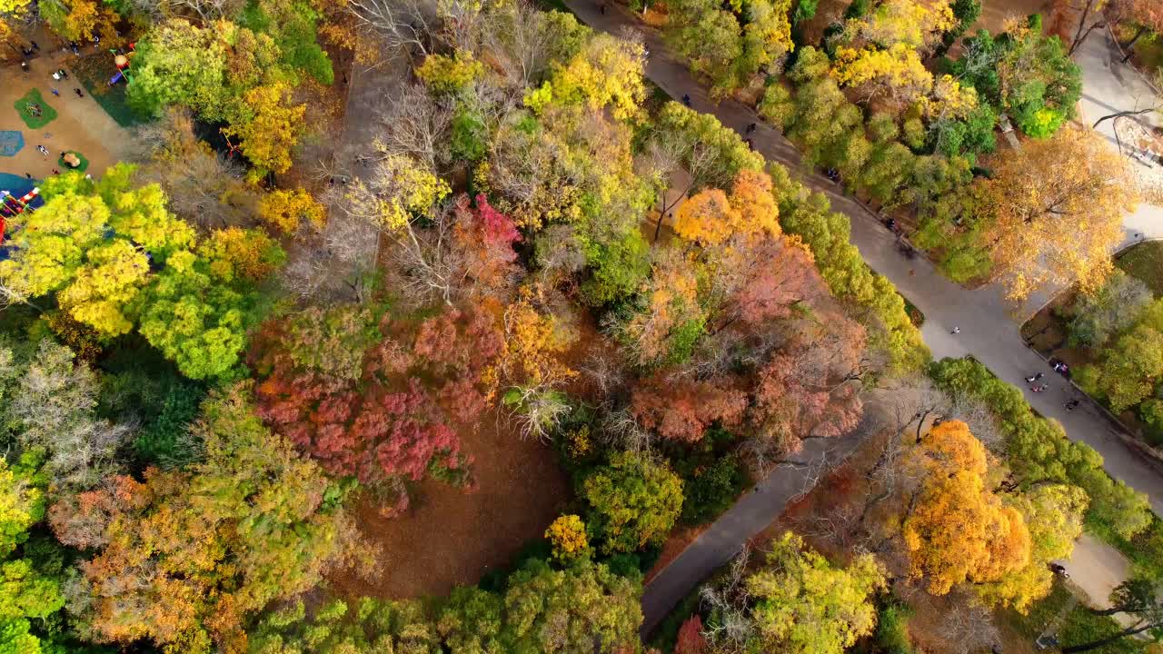 나무 꼭대기, 바다 정원 공원, 공중 식물, 하루를 즐기는 사람들 varna bulgaria drone은 레크리에이션 건강한 사회 환경에서 날아갑니다.