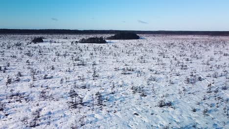 aerial birdseye view of snowy bog landscape with hiking trail and frozen lakes in sunny winter day, dunika peat bog , high altitude wide angle drone shot moving forward