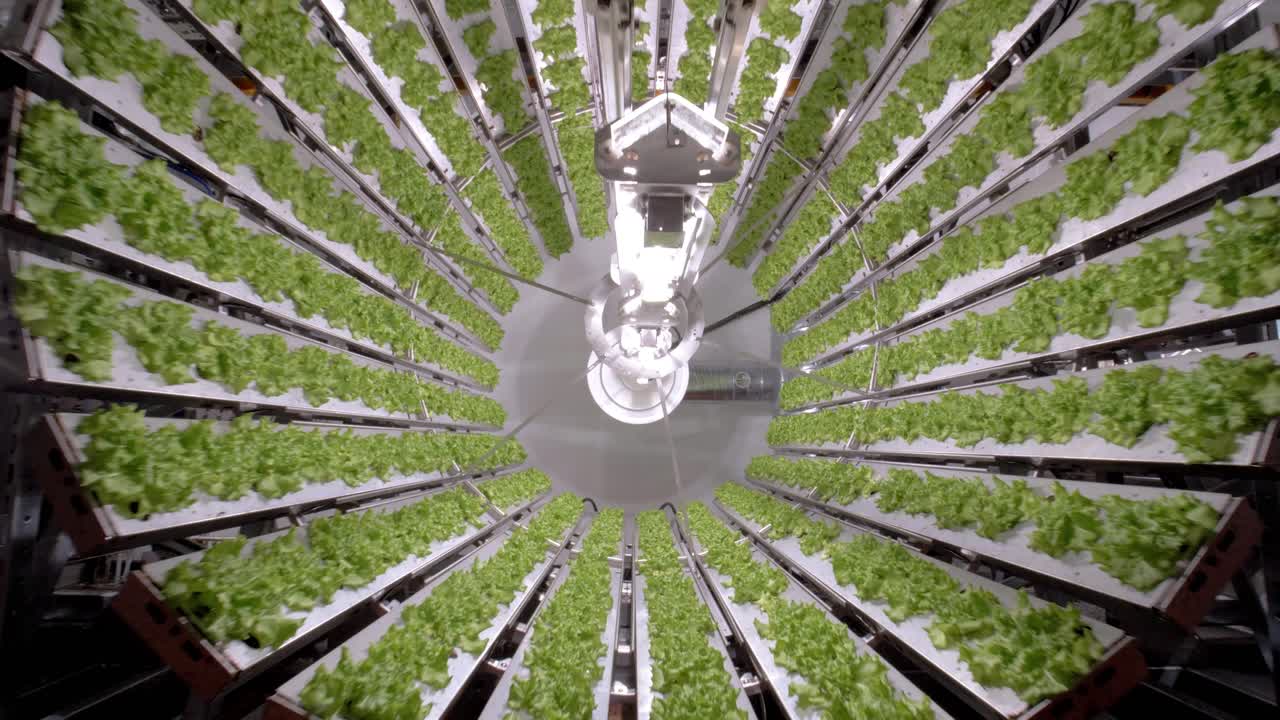 새롭게 현대적인 알루미 ⁇  튜브는 실내 채소를 재배하고 있습니다.