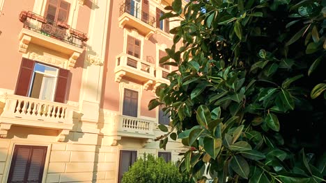 tree leaves and building facade in naples