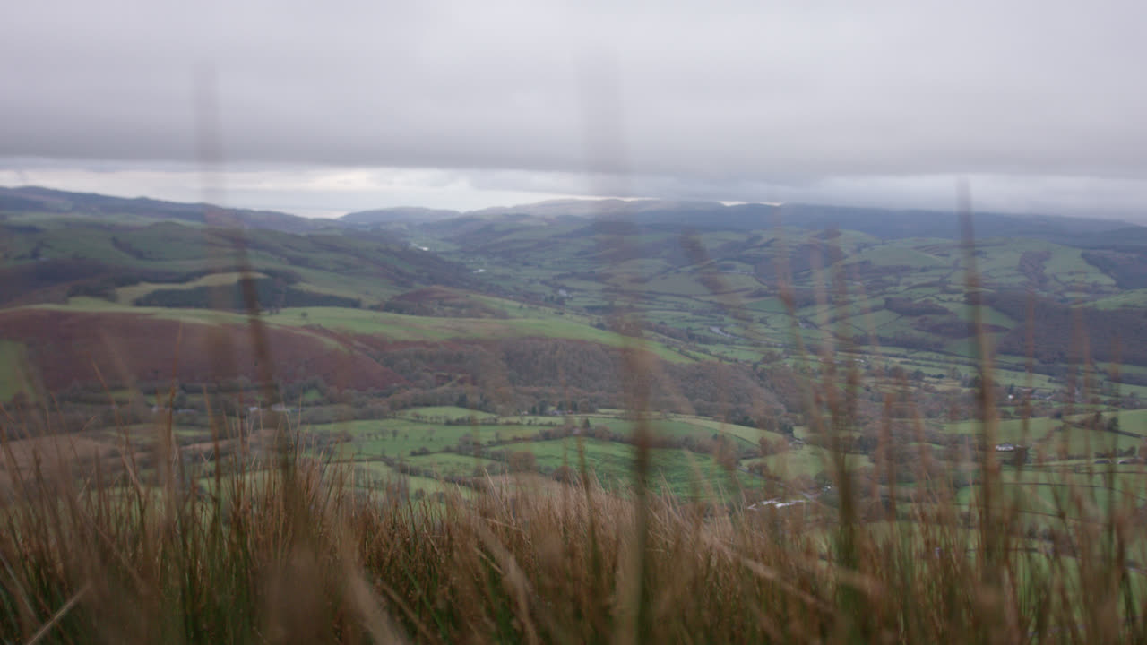 cambio de enfoque de la hierba a la vista de la campiña inglesa