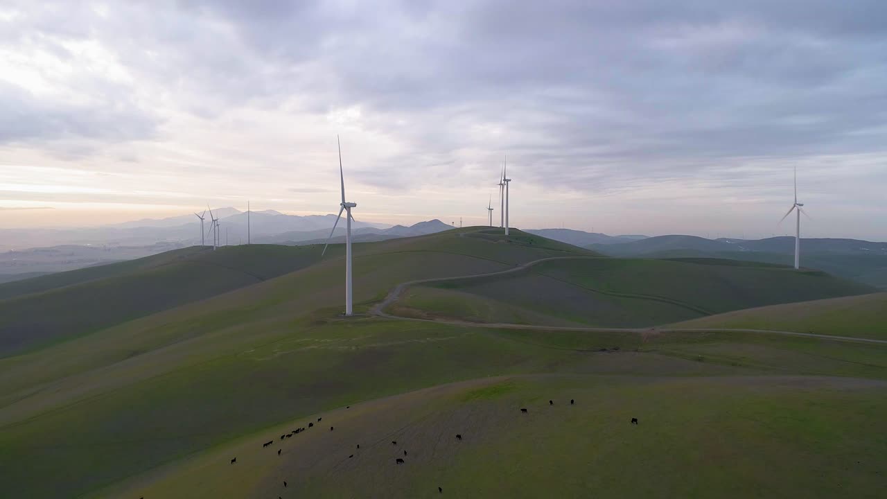 Reverse Dolly of Wind Turbines and Passing Over Cattle with Moody Clouds at Dusk
